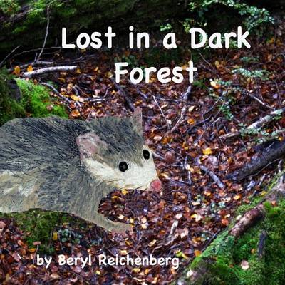 Book cover for Lost in a Dark Forest