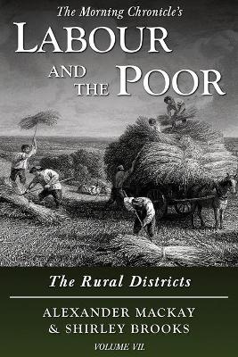 Cover of Labour and the Poor Volume VII