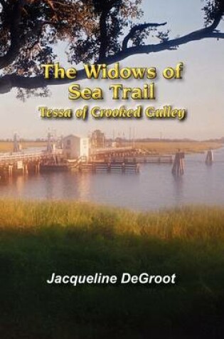 Cover of The Widows of Sea Trail-Tessa of Crooked Gulley