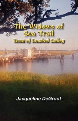 Book cover for The Widows of Sea Trail-Tessa of Crooked Gulley