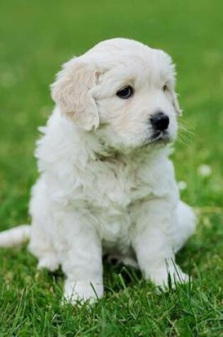 Cover of An Adorable Baby Swiss Shepherd Puppy Sitting in the Grass Journal