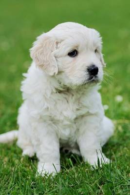 Book cover for An Adorable Baby Swiss Shepherd Puppy Sitting in the Grass Journal