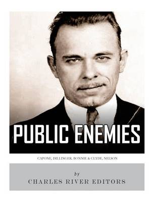 Book cover for Public Enemies