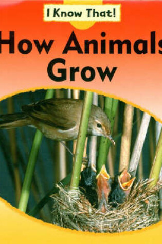 Cover of How Animals Grow