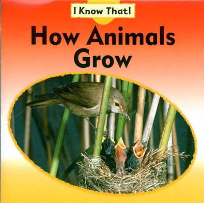 Cover of How Animals Grow