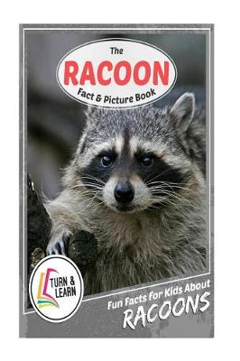 Book cover for The Raccoon Fact and Picture Book