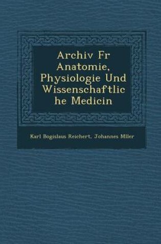 Cover of Archiv Fur Anatomie, Physiologie Und Wissenschaftliche Medicin