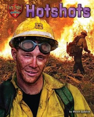 Book cover for Hotshots