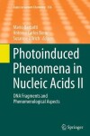 Book cover for Photoinduced Phenomena in Nucleic Acids II