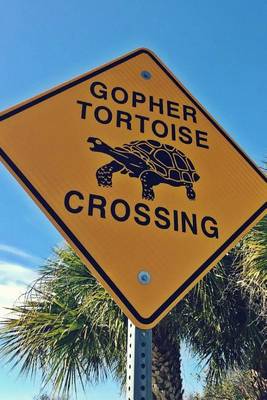 Book cover for Gopher Tortoise Crossing Sign, for the Love of Animals