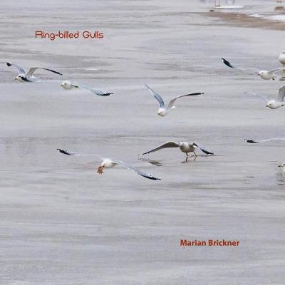 Book cover for Ring-Billed Gulls