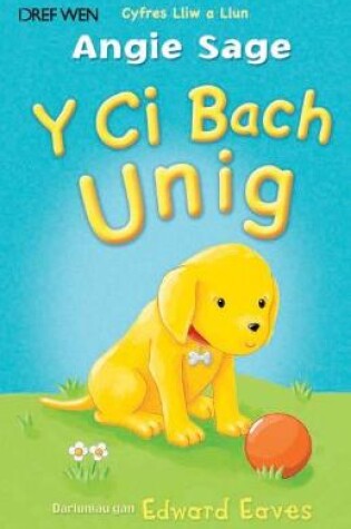 Cover of Cyfres Lliw a Llun: Y Ci Bach Unig