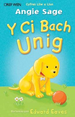 Book cover for Cyfres Lliw a Llun: Y Ci Bach Unig