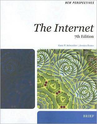 Book cover for New Perspectives on the Internet Brief
