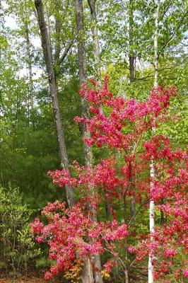 Book cover for 2020 Weekly Planner Flowering Trees Forest's Edge 134 Pages