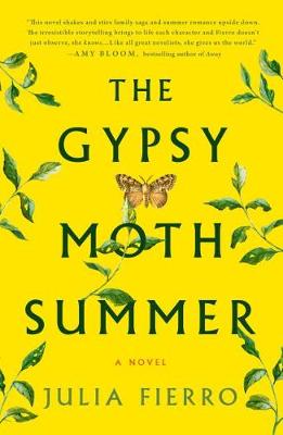 Book cover for Gypsy Moth Summer