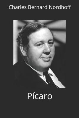 Book cover for Picaro