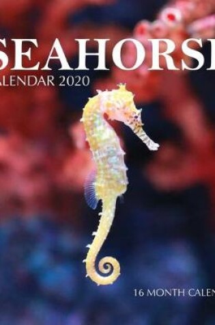 Cover of Seahorse Calendar 2020