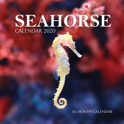 Book cover for Seahorse Calendar 2020