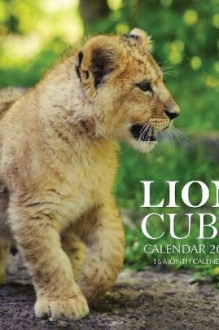 Cover of Lion Cubs Calendar 2021