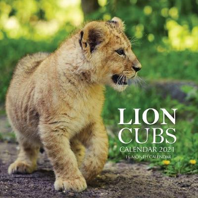 Book cover for Lion Cubs Calendar 2021