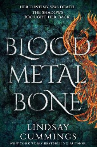 Cover of Blood Metal Bone