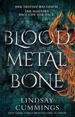 Book cover for Blood Metal Bone