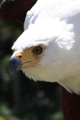 Book cover for The African Fish Eagle Journal