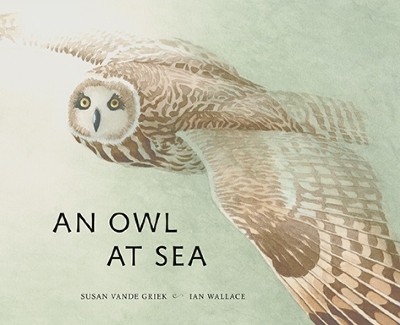 Book cover for An Owl at Sea