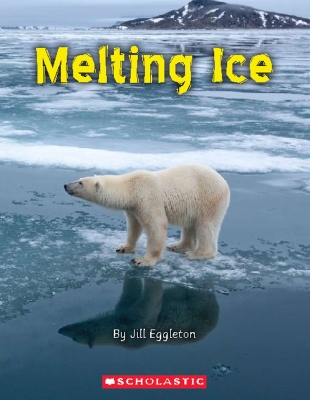 Book cover for Melting Ice