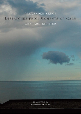 Book cover for Dispatches from Moments of Calm