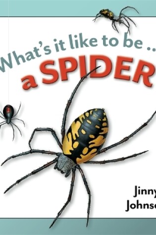 Cover of A Spider?