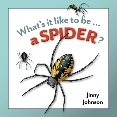 Book cover for A Spider?