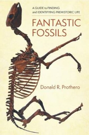 Cover of Fantastic Fossils