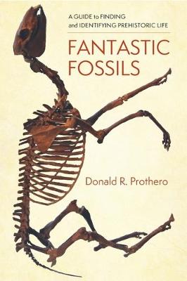 Book cover for Fantastic Fossils