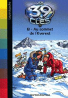 Book cover for Au sommet de l'Everest