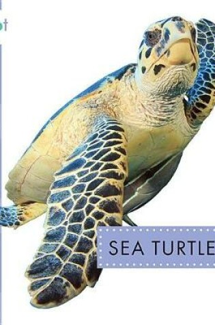 Cover of Sea Turtles