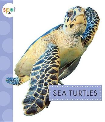 Cover of Sea Turtles