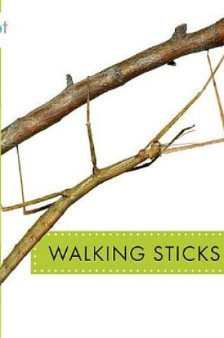 Cover of Walking Sticks