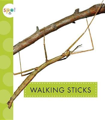 Cover of Walking Sticks