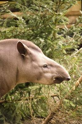 Book cover for Portrait of a Tapir Journal