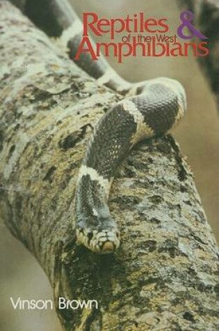 Cover of Reptiles & Amphibians of the West