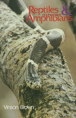 Book cover for Reptiles & Amphibians of the West
