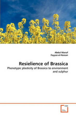 Cover of Resielience of Brassica