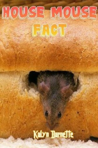 Cover of House Mouse Fact