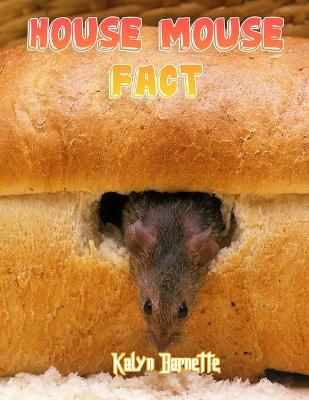 Book cover for House Mouse Fact