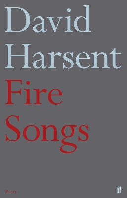 Book cover for Fire Songs