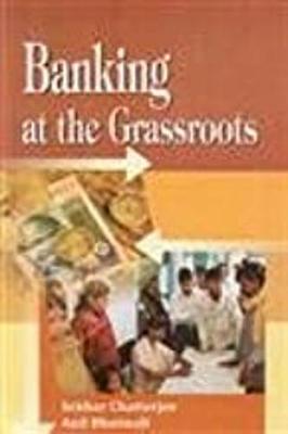 Book cover for Banking at the Grassroots