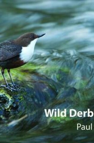 Cover of Wild Derbyshire