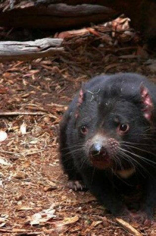 Cover of Tasmanian Devil Saying Hello, for the Love of Animals